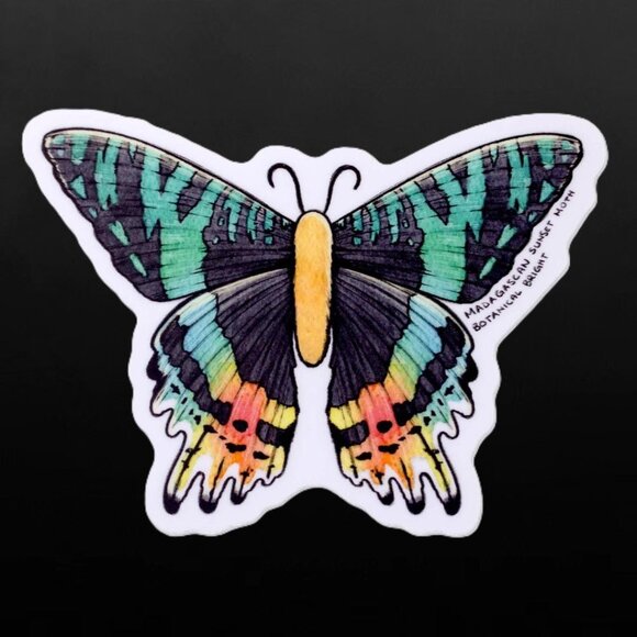 3 for $15 - Madagascan Sunset Moth‎ Sticker - Waterproof Vinyl Nature Decal - Picture 3 of 5